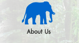 background about เกี่ยวกับมูลนิธิ มูลนิธิคืนช้างสู่ธรรมชาติ | Elephant Reintroduction Foundation