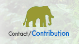 Contact / Donate ติดต่อมูลนิธิ / ร่วมบริจาค มูลนิธิคืนช้างสู่ธรรมชาติ | Elephant Reintroduction Foundation