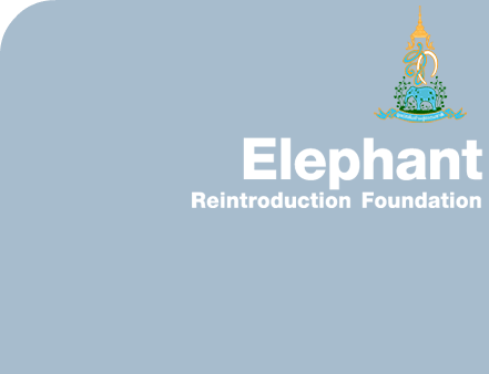 Elephant Reintroduction Foundation