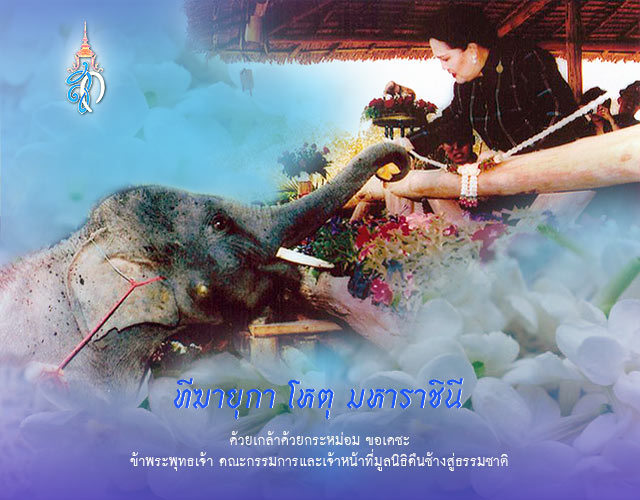 Her Majesty Queen Sirikit in King Rama IX | สมเด็จพระนางเจ้าสิริกิติ์ พระบรมราชินีนาถ ในรัชกาลที่ ๙