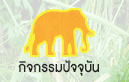 ԨѨغѹ ŹԸԤ׹ҧҵ | Elephant Reintroduction Foundation