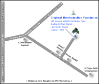 Map : Lopburi, Elephant Reintroduction Foundation