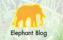 Activities กิจกรรมปัจจุบัน มูลนิธิคืนช้างสู่ธรรมชาติ | Elephant Reintroduction Foundation